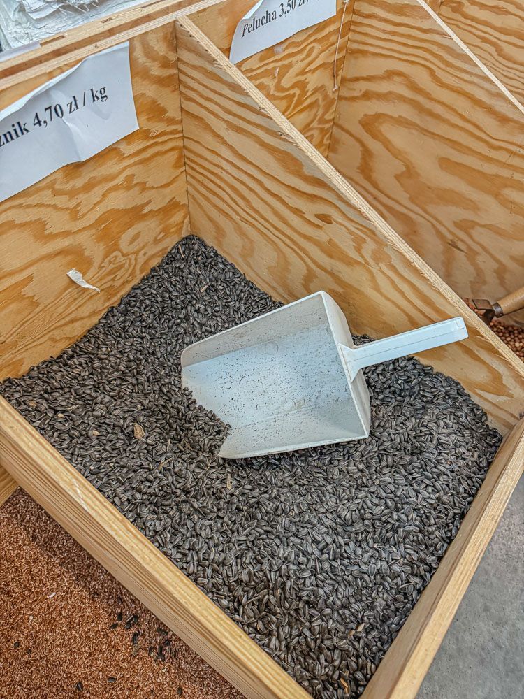 www16
